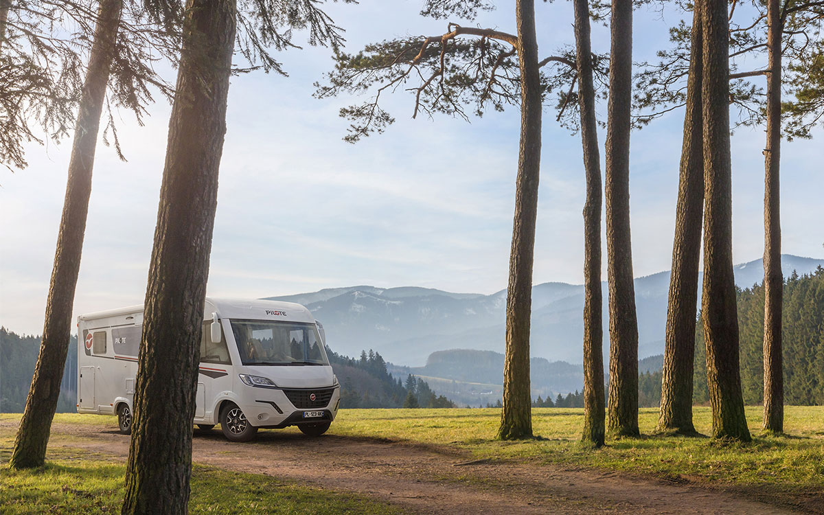 Camping-car intégral Pilote sur un chemin bordé d'arbres.